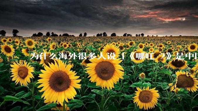为什么海外很多人说「《哪吒 2》是中国人自己的狂欢」？