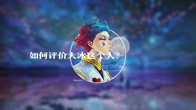 如何评价大冰这个人？