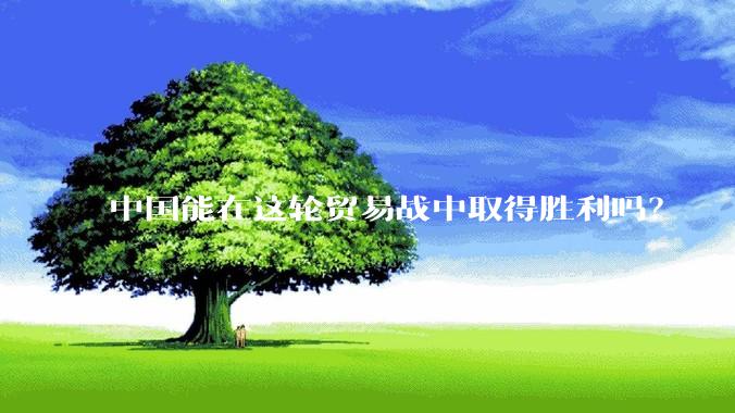 中国能在这轮贸易战中取得胜利吗？