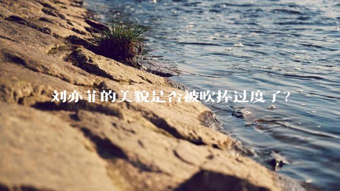 刘亦菲的美貌是否被吹捧过度了？