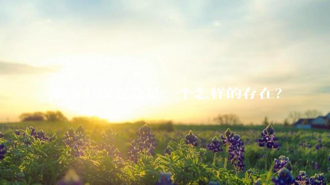 湖南卫视究竟是一个怎样的存在？